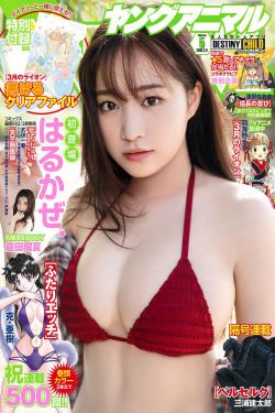 赘婿免费观看完整版